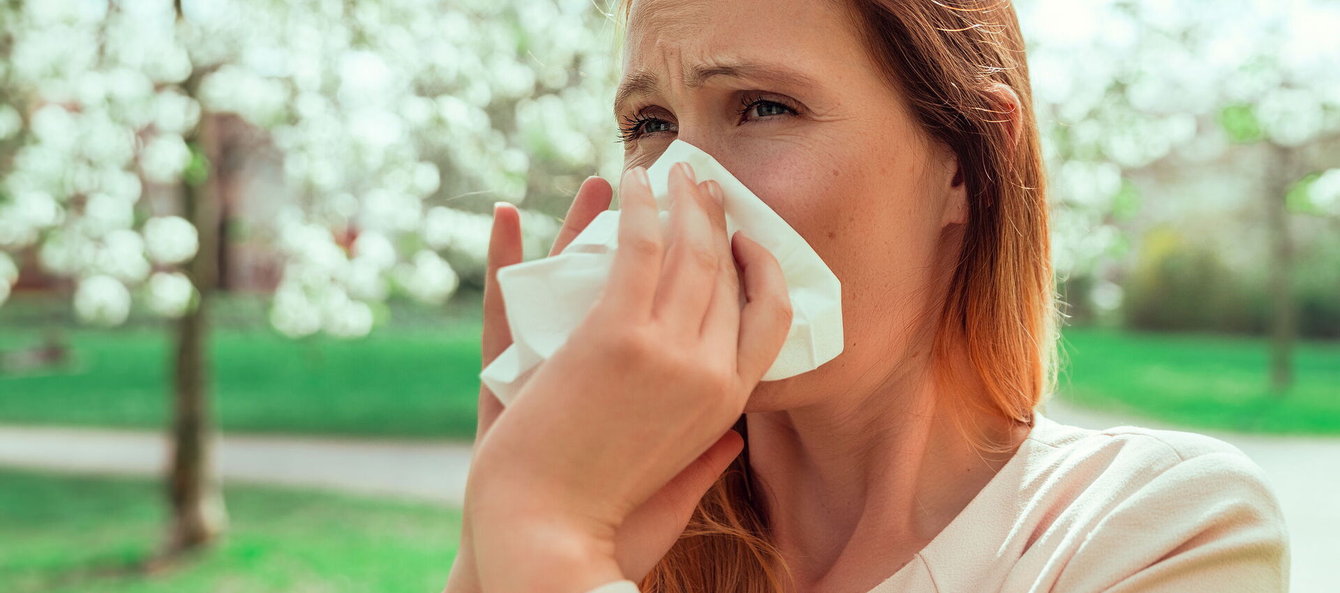 Pollenzeit auch im Büro